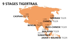 Route TigerTrail